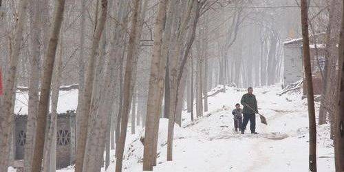 荣成市雪落美景与影响，最新下雪报道