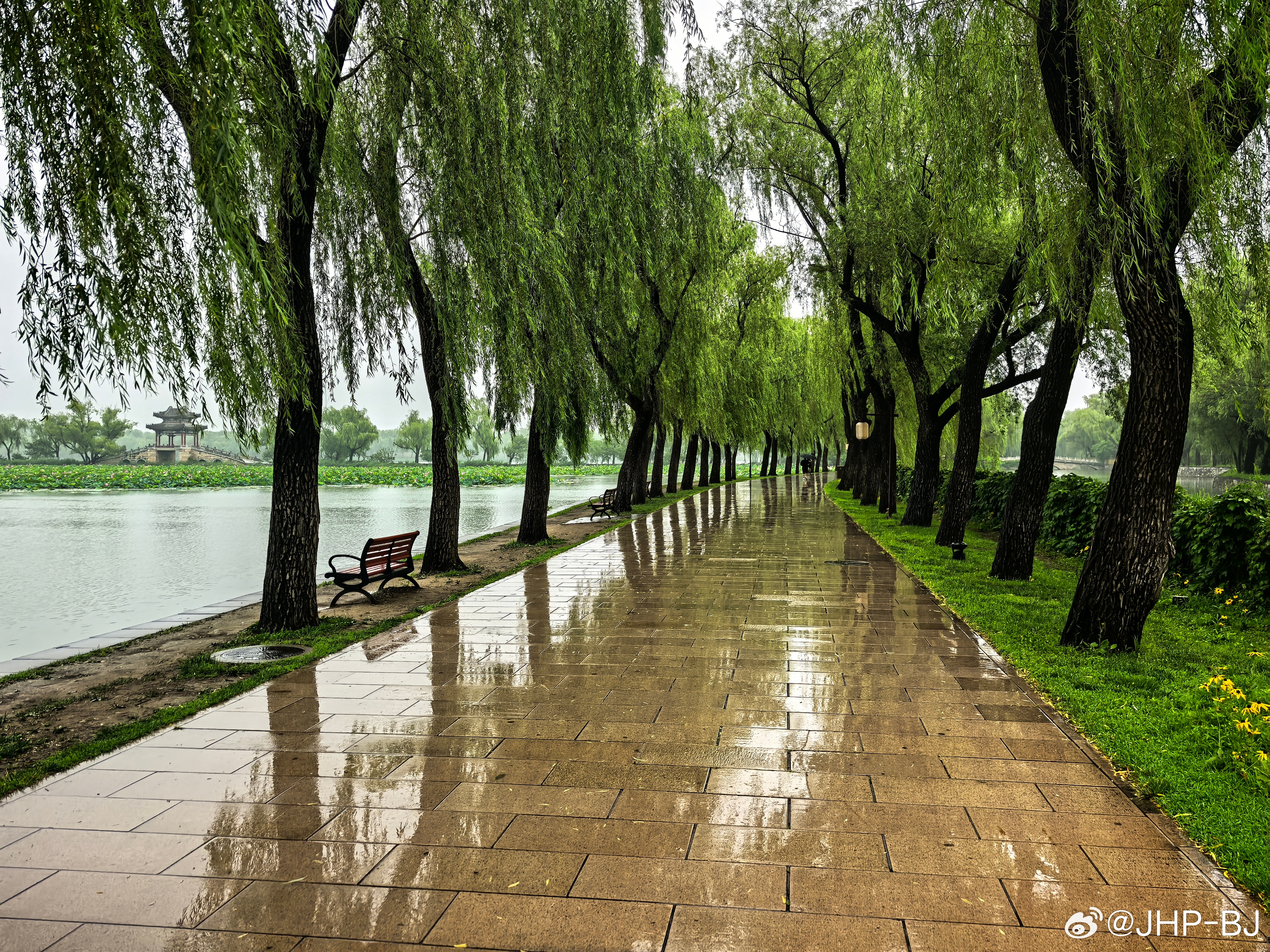 清晨小雨下的最新生活感悟